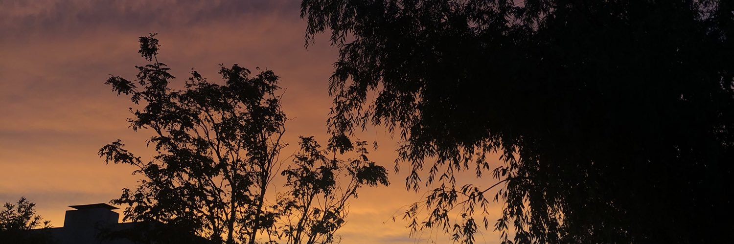 ScutariAgus's profile banner image