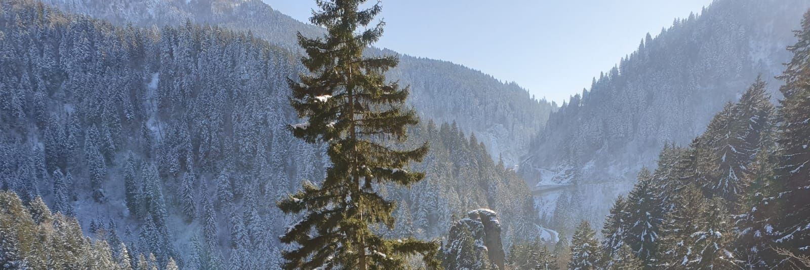 6hRyPtTr6's profile banner image