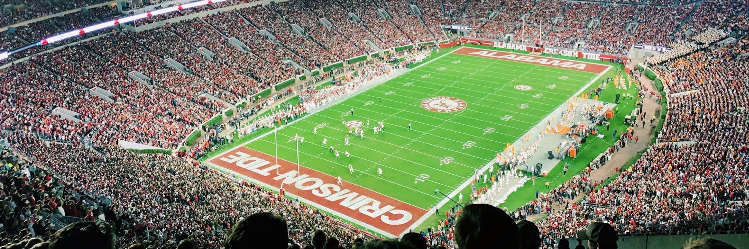 Ashley Camp🍍 banner