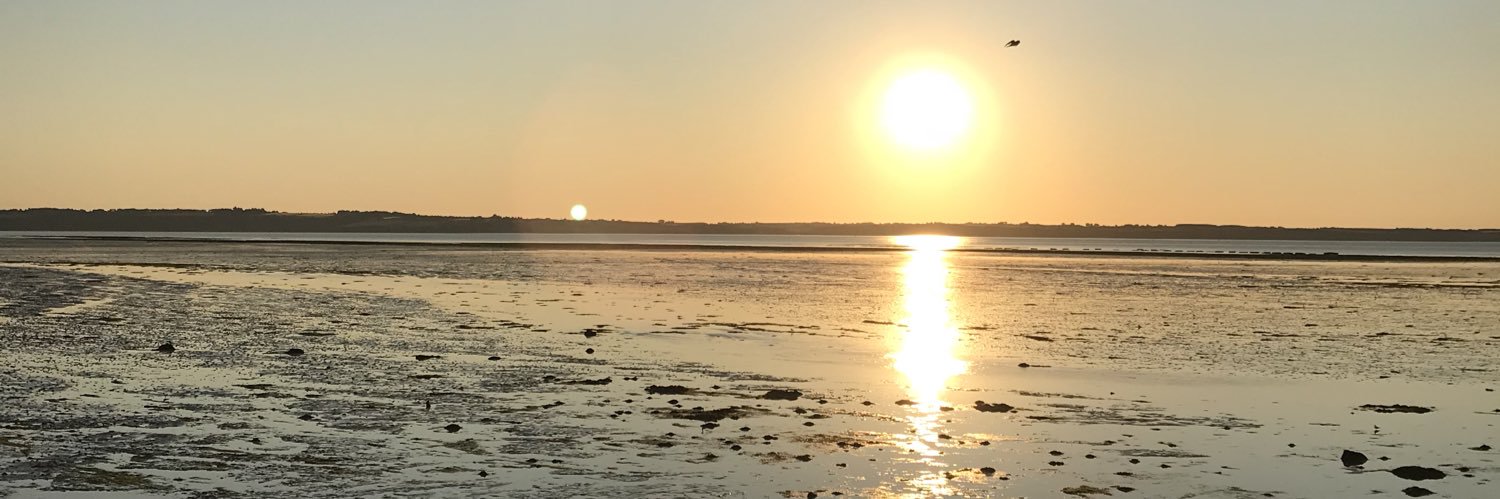 EmmaQuiltyy's profile banner image