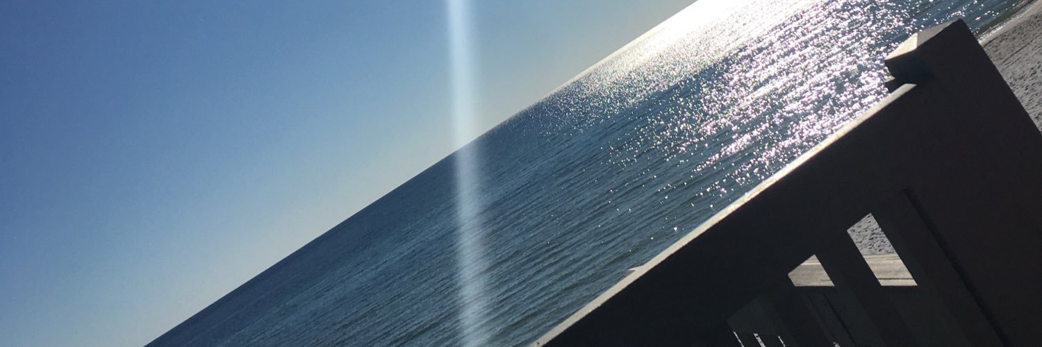 ybubphillips10's profile banner image
