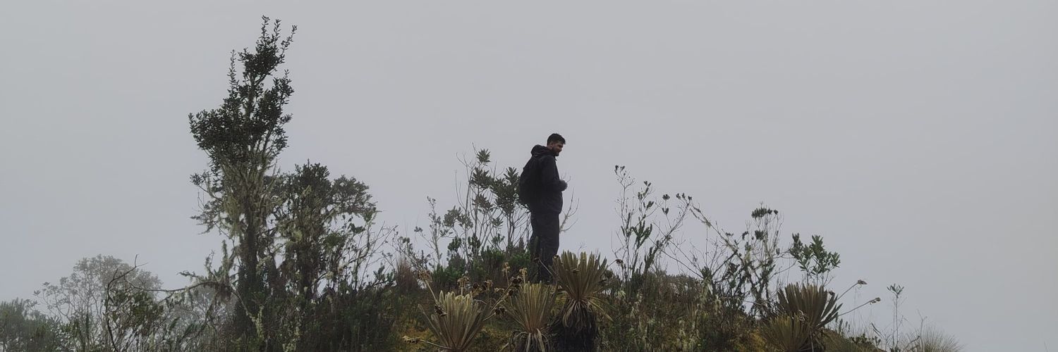 Ferdicionuwu's profile banner image