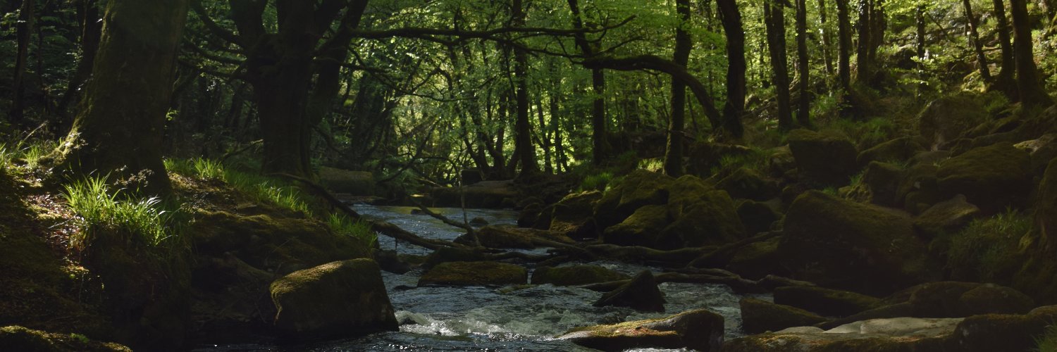 davidbabbs's profile banner image