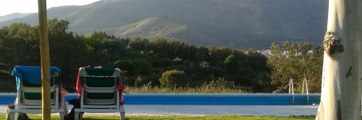 vanelauadis's profile banner image