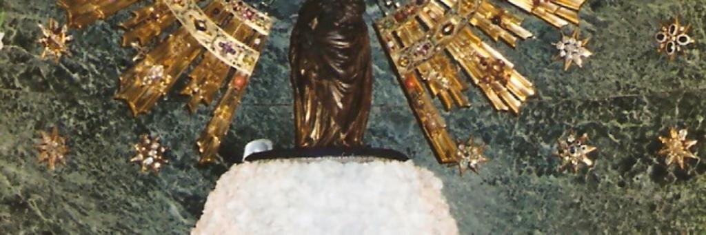 PilarBusto's profile banner image