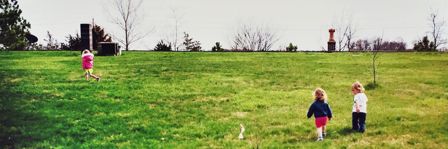 wingclipper's profile banner image