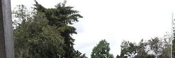 Wüd'Øgaada banner