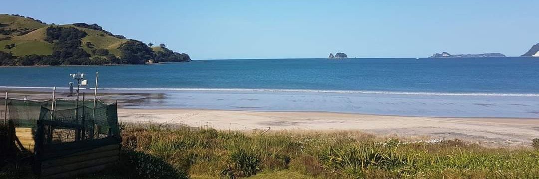 Mark Stewart (actually) banner