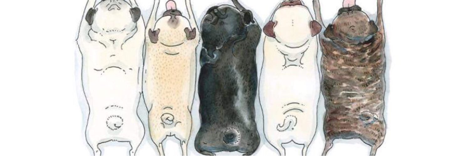 CEGutkin's profile banner image
