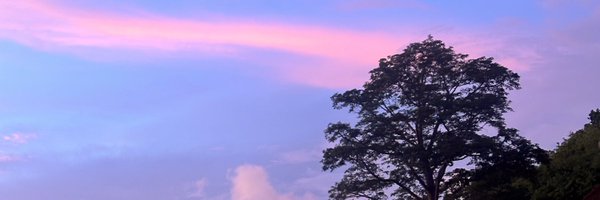 ilbzaa Profile Banner