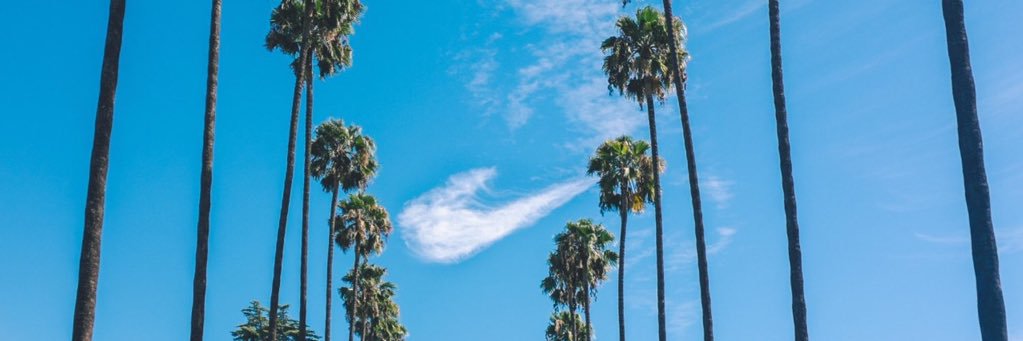 mconner212's profile banner image