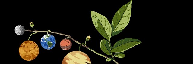 MSpace_Dev's profile banner image