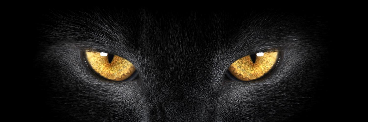 brasildevolta's profile banner image
