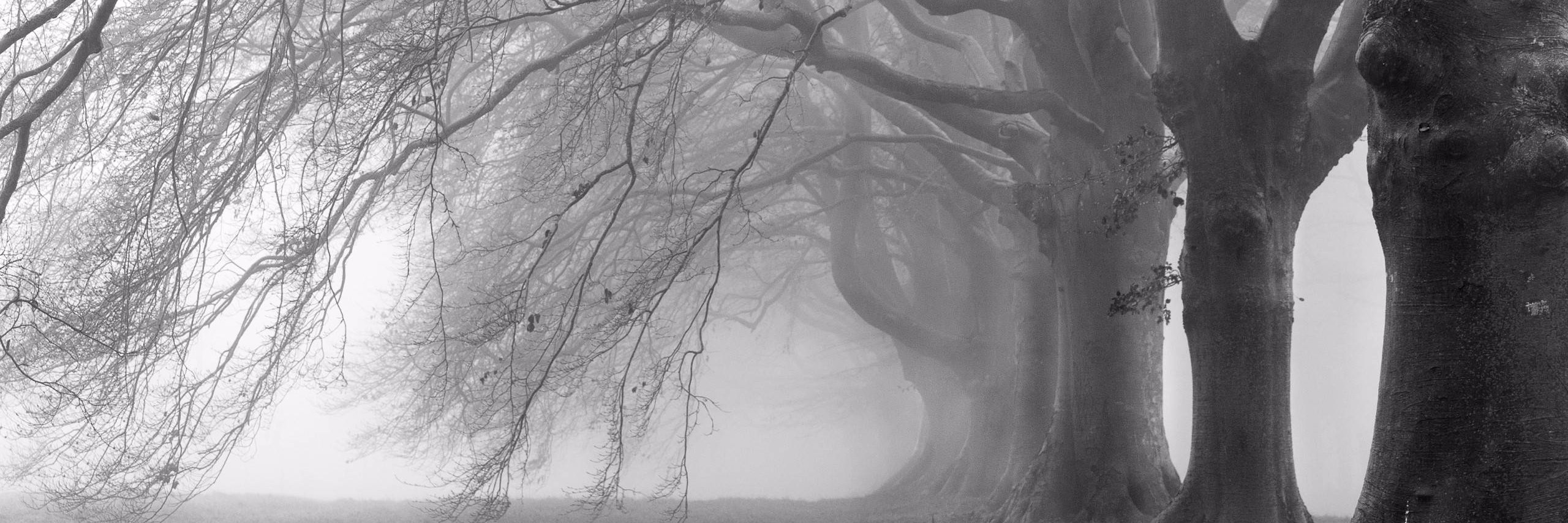 rhynraing0away's profile banner image