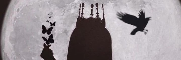 zzzcookiez's profile banner image