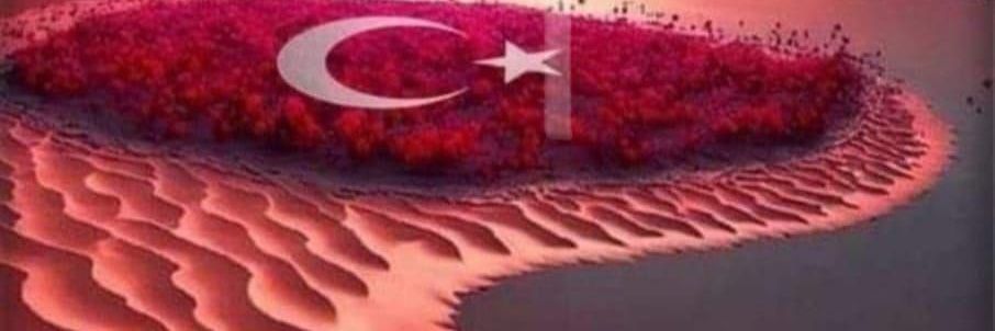 TC70taner's profile banner image