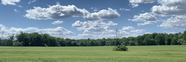 Cecil Weather Profile Banner