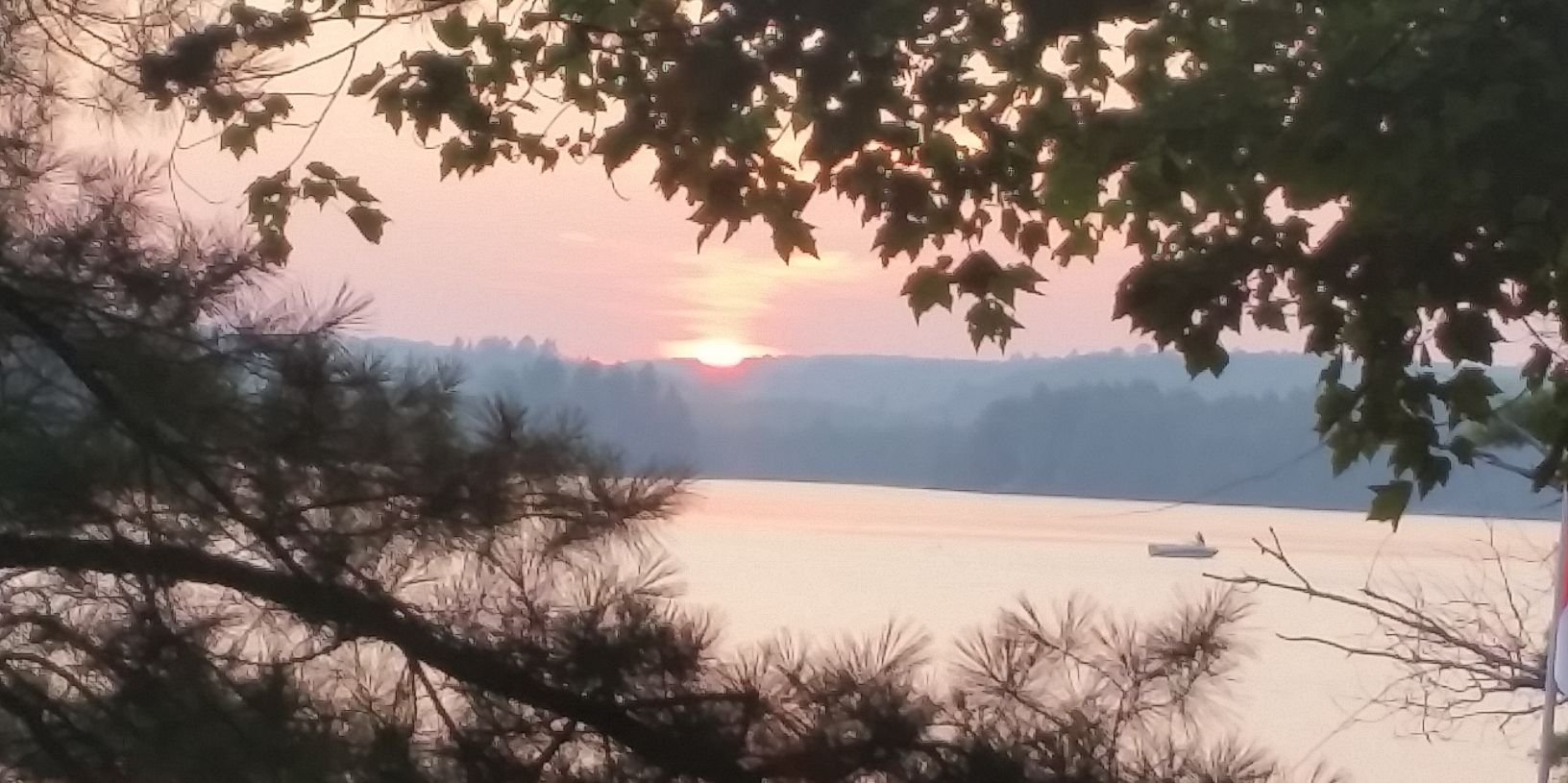 Belinda Brown banner