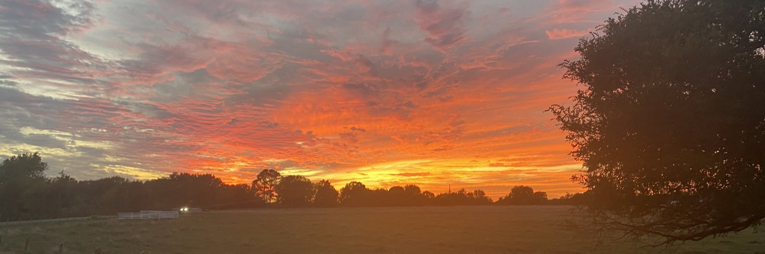 blakekohring's profile banner image