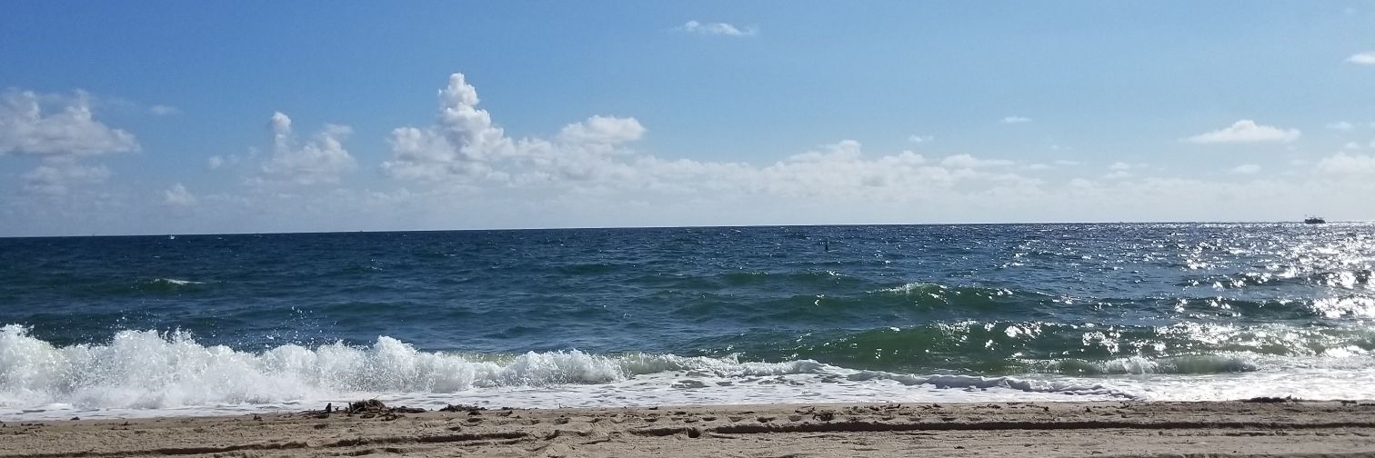Tylerasavage's profile banner image