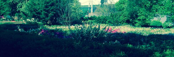 BigGSimpdaddy Profile Banner