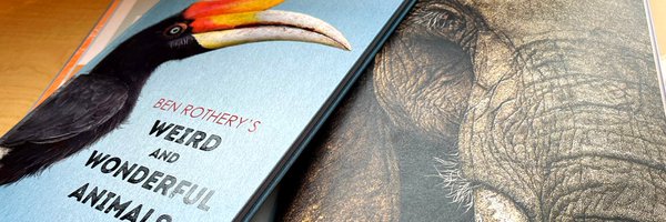 tilburyhouse Profile Banner