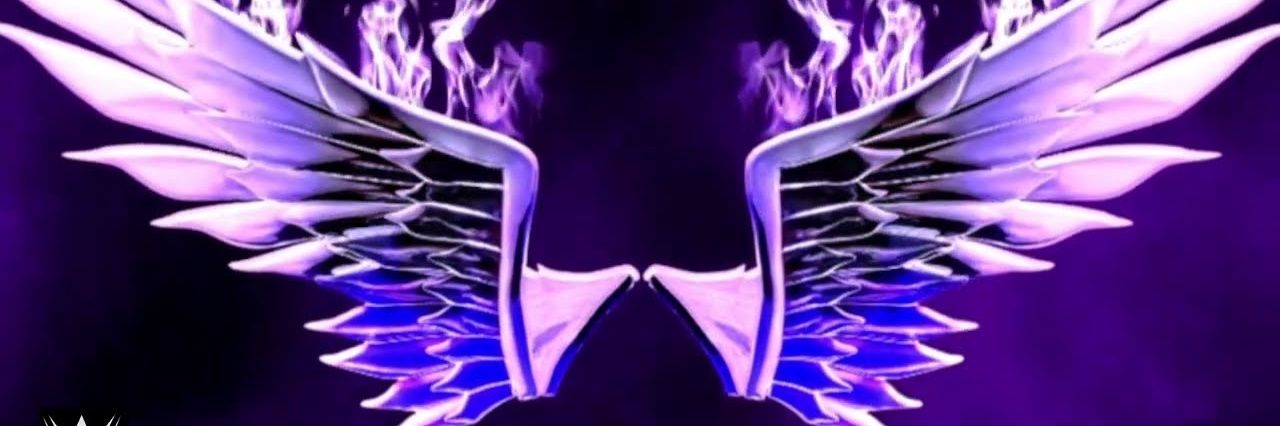 NyxThePanda's profile banner image