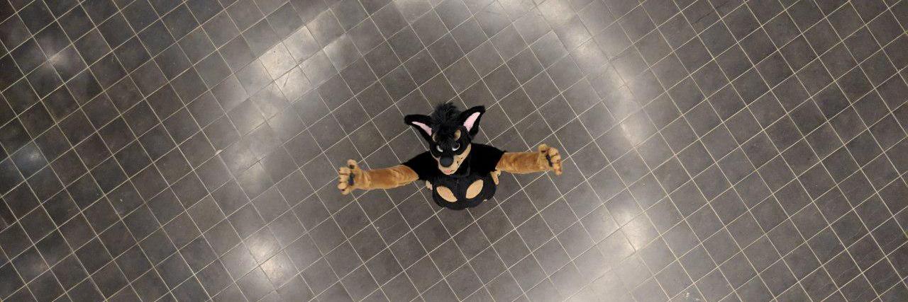 StrifeFurry's profile banner image
