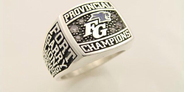 FGLionPride's profile banner image