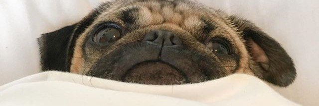 hrrysrings's profile banner image