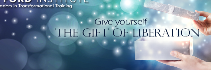 Gifts of Debbie Ford | The Ford Institute banner