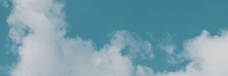 laniemalone's profile banner image
