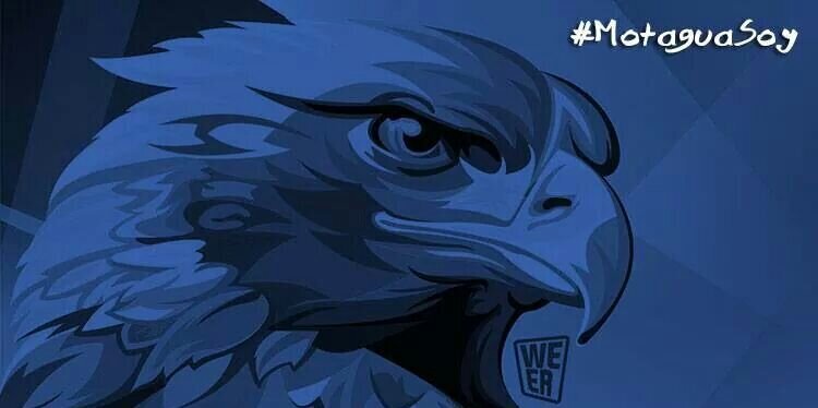 hfbulnes's profile banner image