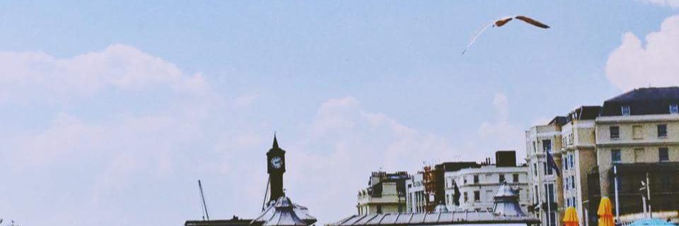 Imper_Panda's profile banner image