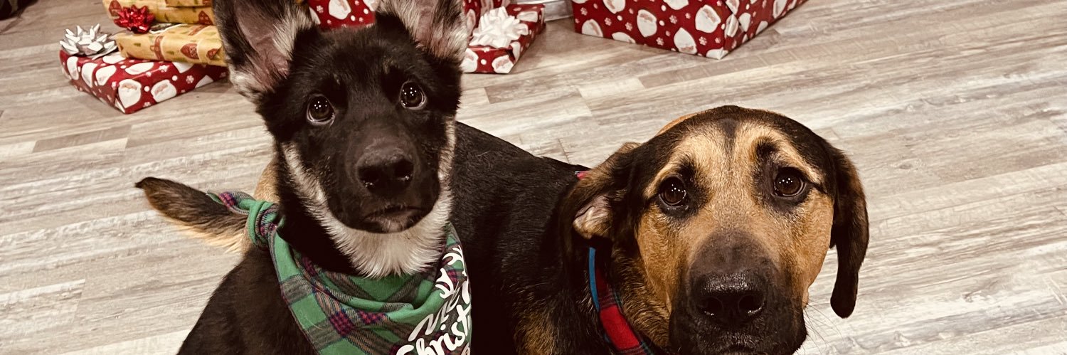 katiertownsend's profile banner image