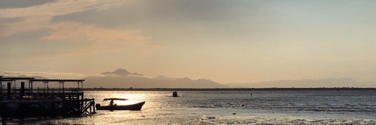 _ardale's profile banner image