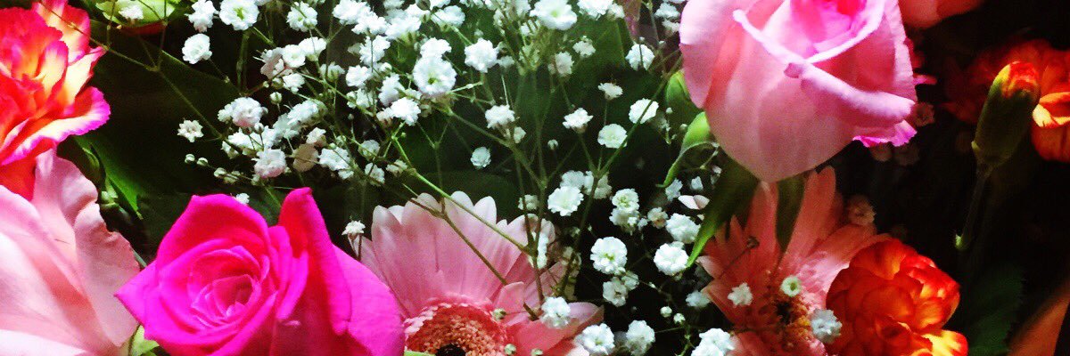 y__rad_ik's profile banner image