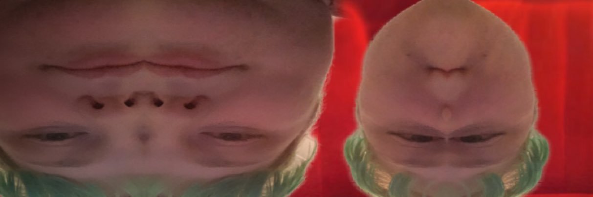 char_leaf's profile banner image