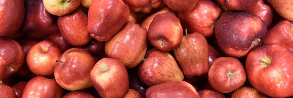 Redwood Empire Food Bank banner