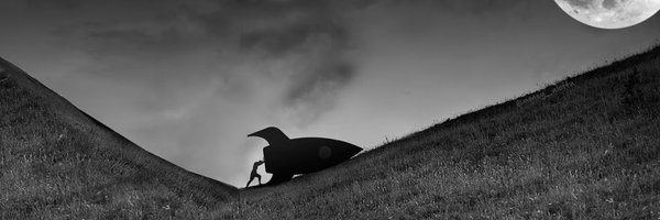 Scooter0x Profile Banner