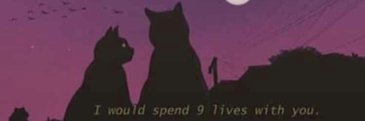 LunityOw's profile banner image