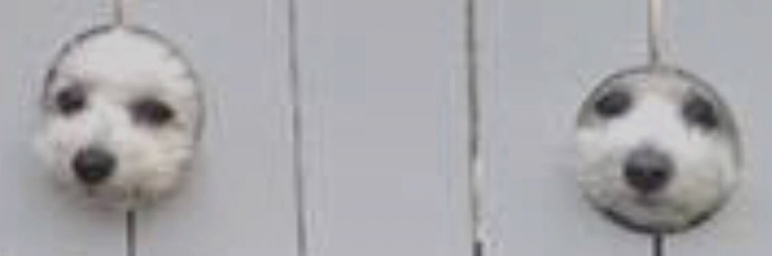 PaulerWaller's profile banner image