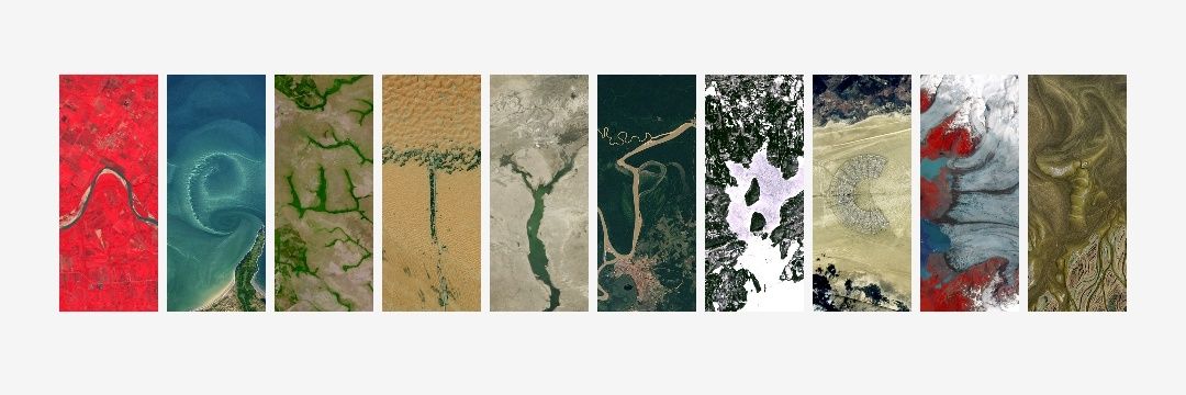 ニュータイプぬこ🧋 banner