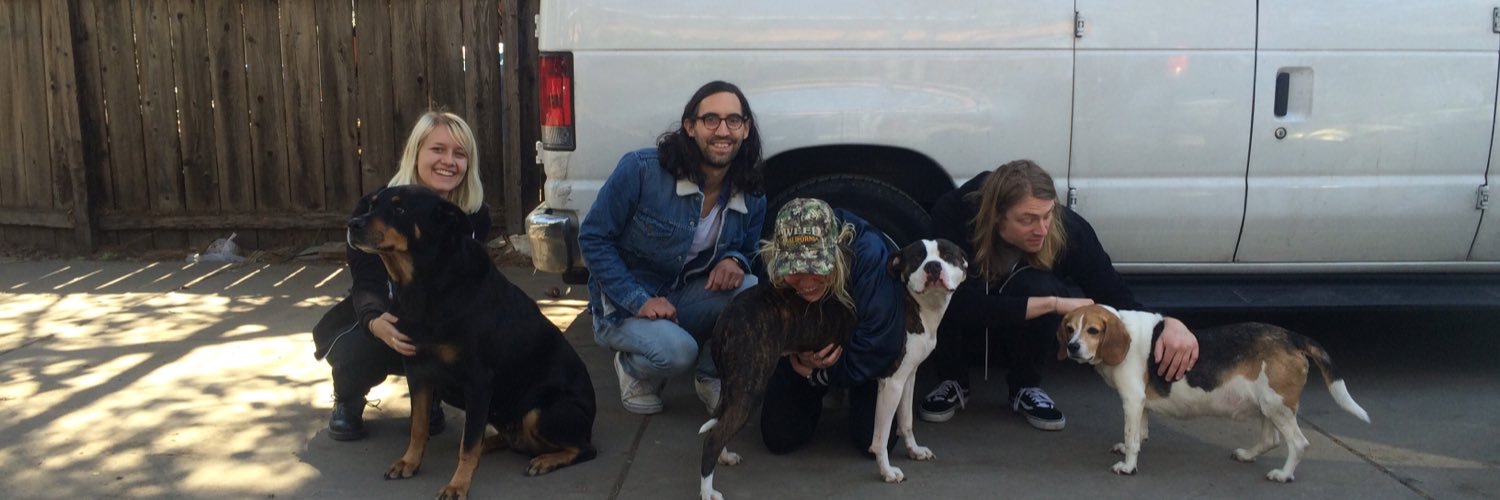 alldogsband's profile banner image