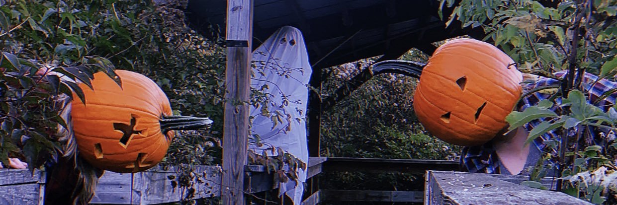 _Lexxis_'s profile banner image
