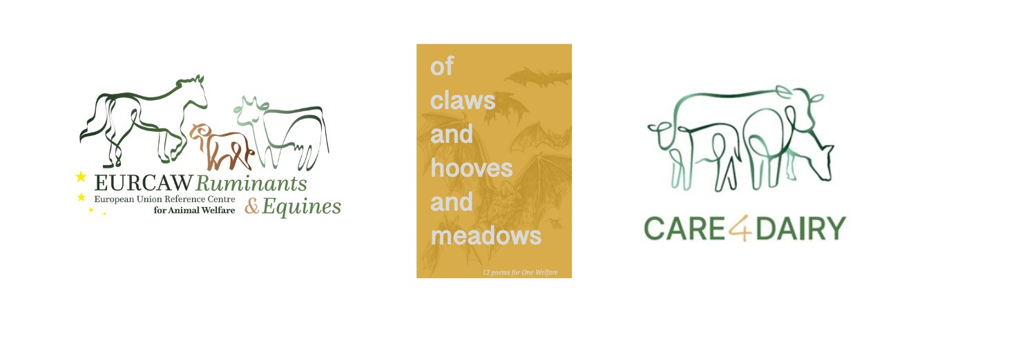 Professor Alison Hanlon banner