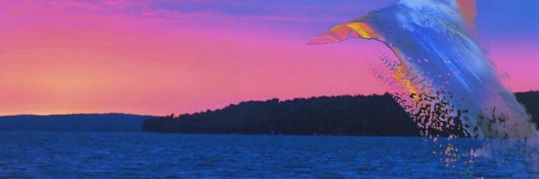 andreaciis's profile banner image
