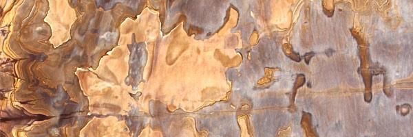 botswanahp's profile banner image