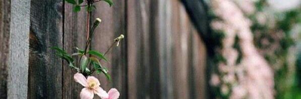 jojo1416605's profile banner image