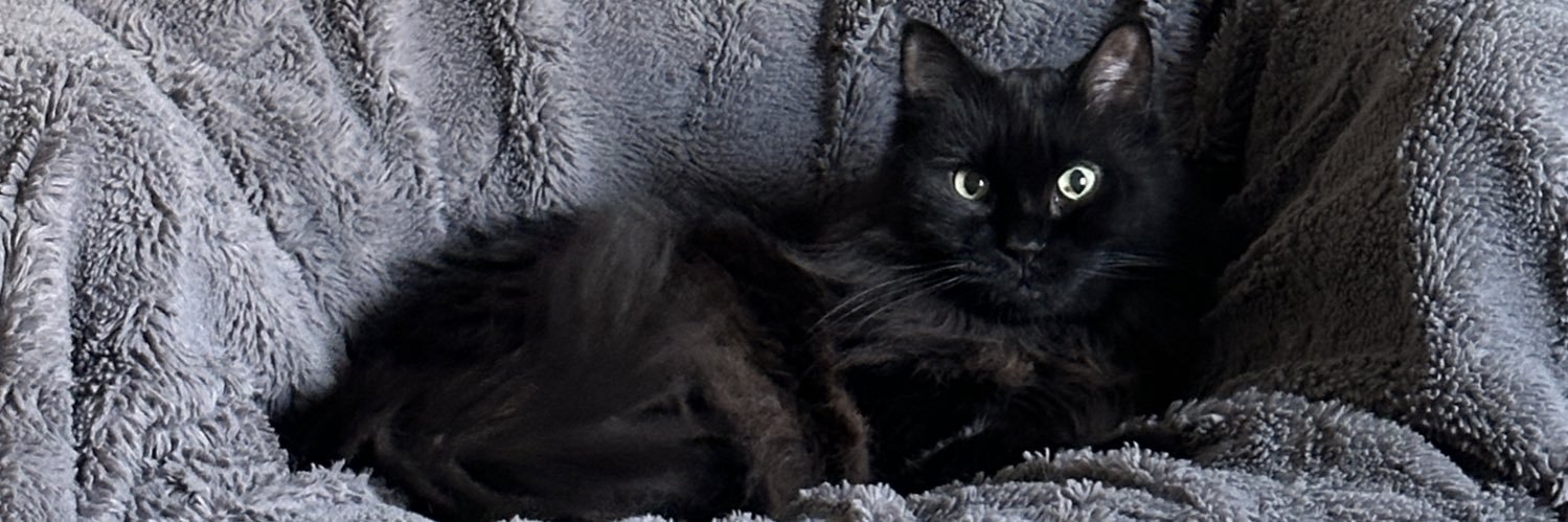 billydahlor's profile banner image